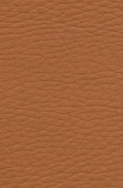 Decovin Nappa cognac